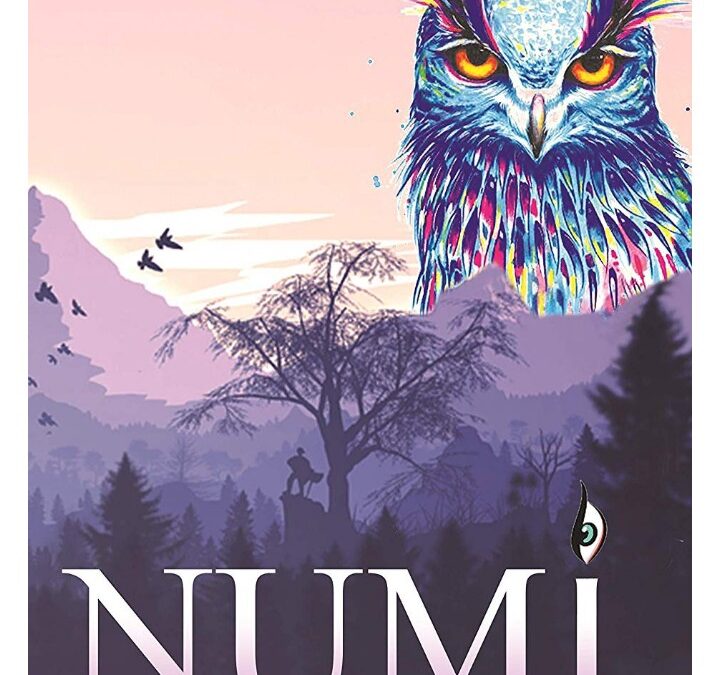 Book Review – Numi: The Guarded Loop by Nupur Sandhu