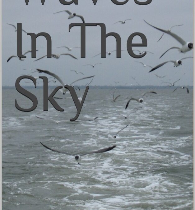 Book Review — Waves in the sky by Rakhi Jayashankar