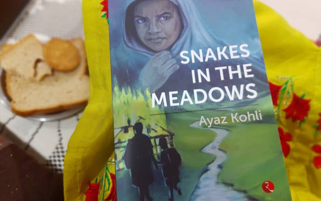 Book Review — Snakes in the Meadows by Ayaz Kohli
