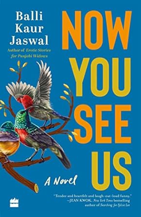 Book Review — Now You See Us by Balli Kaur Jaswal